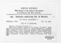 Image Associated With the Occurence
